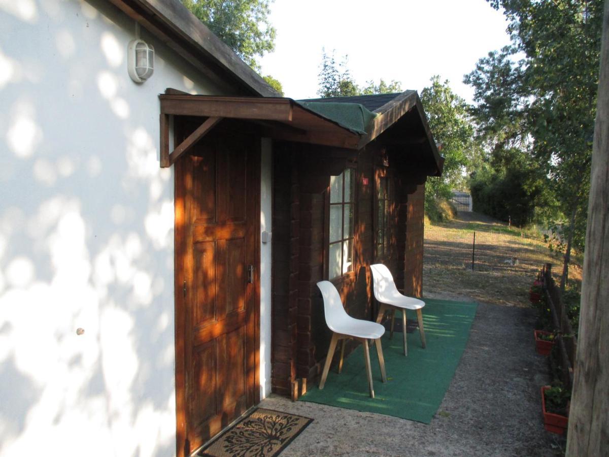 Bungalow "A Choupana" - Quinta Da Carvoica - Vale Pradinhos Vale de Pradinhos Buitenkant foto