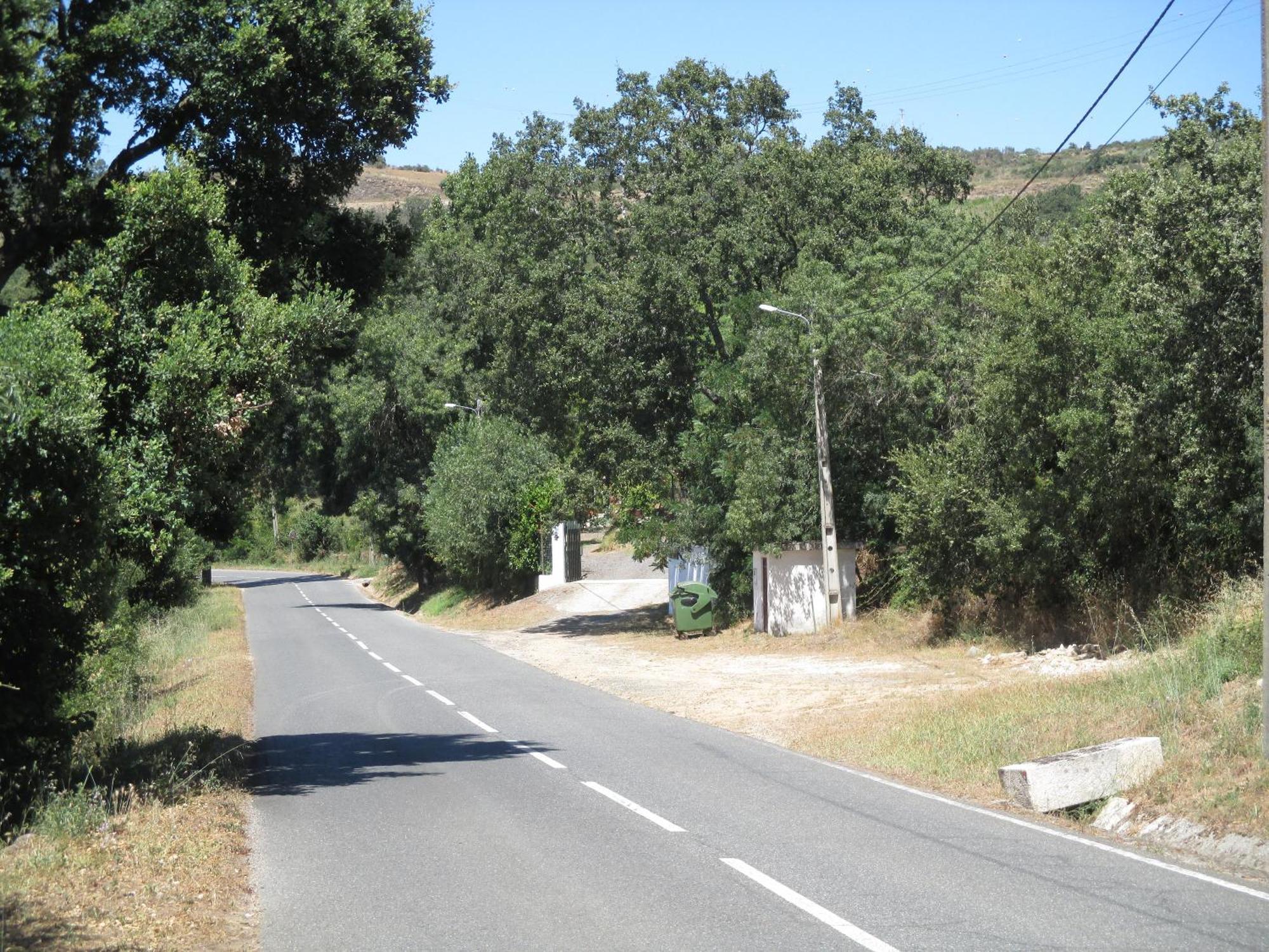 Bungalow "A Choupana" - Quinta Da Carvoica - Vale Pradinhos Vale de Pradinhos Buitenkant foto