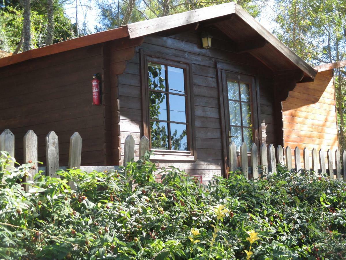 Bungalow "A Choupana" - Quinta Da Carvoica - Vale Pradinhos Vale de Pradinhos Buitenkant foto